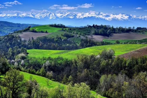 Puzzle for Adults 1000 Mountains, Hills, Vineyards, Trees, Spring Fields, Mj518TY 50x70cm von HNBDE