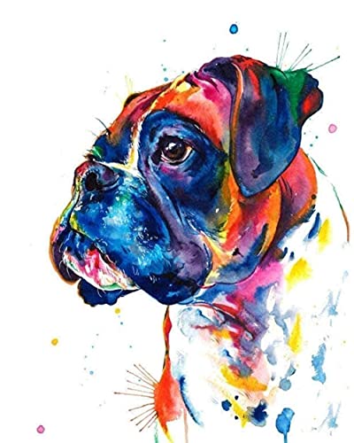 Malen nach Zahlen für Erwachsene-Bunte Boxer Netter Haustier Hund-DIY Acryl-Malerei-Farben Home Decorating Halloween (Kein Rahmen 40x50cm) von HNXSY