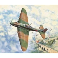 HOBBY BOSS 83204 1:32 IL-2M3 Ground Attack Air HOBBY BOSS 83204 1:32 IL-2M3 Ground Attack Air von HOBBY BOSS