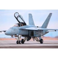 HOBBY BOSS 85813 1:48 FA 18F Hornet HOBBY BOSS 85813 1:48 FA 18F Hornet von HOBBY BOSS