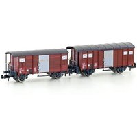 HOBBYTRAIN H24254 N 2er Set gedeckte Güterwagen K2 + K3, BLS, Ep. IV von HOBBYTRAIN