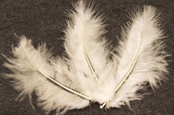 20 Deko-Federn Elfenbein 5,5 cm von HOBI