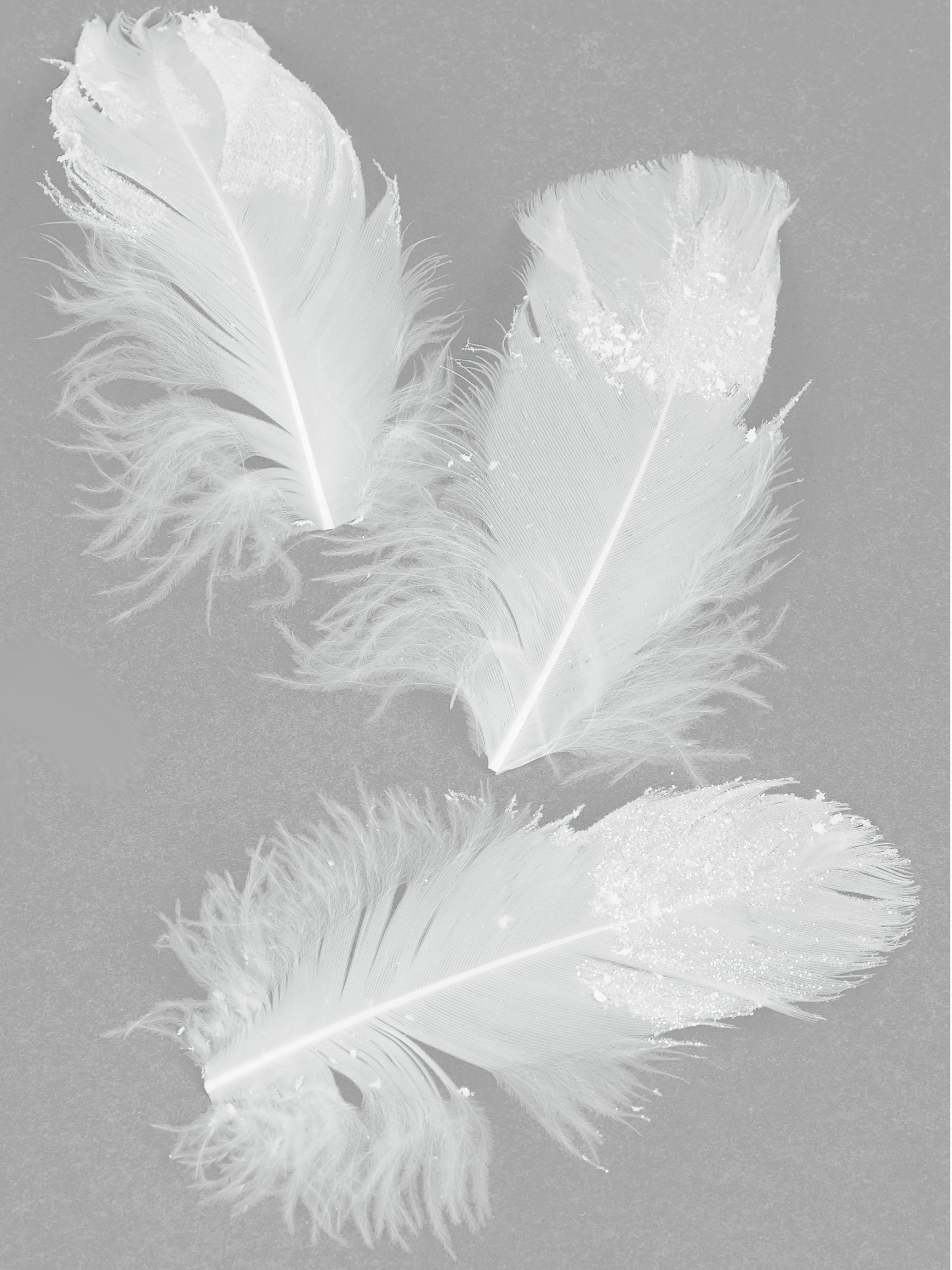 20 Federn Weiß Glitzer 9 cm von HOBI