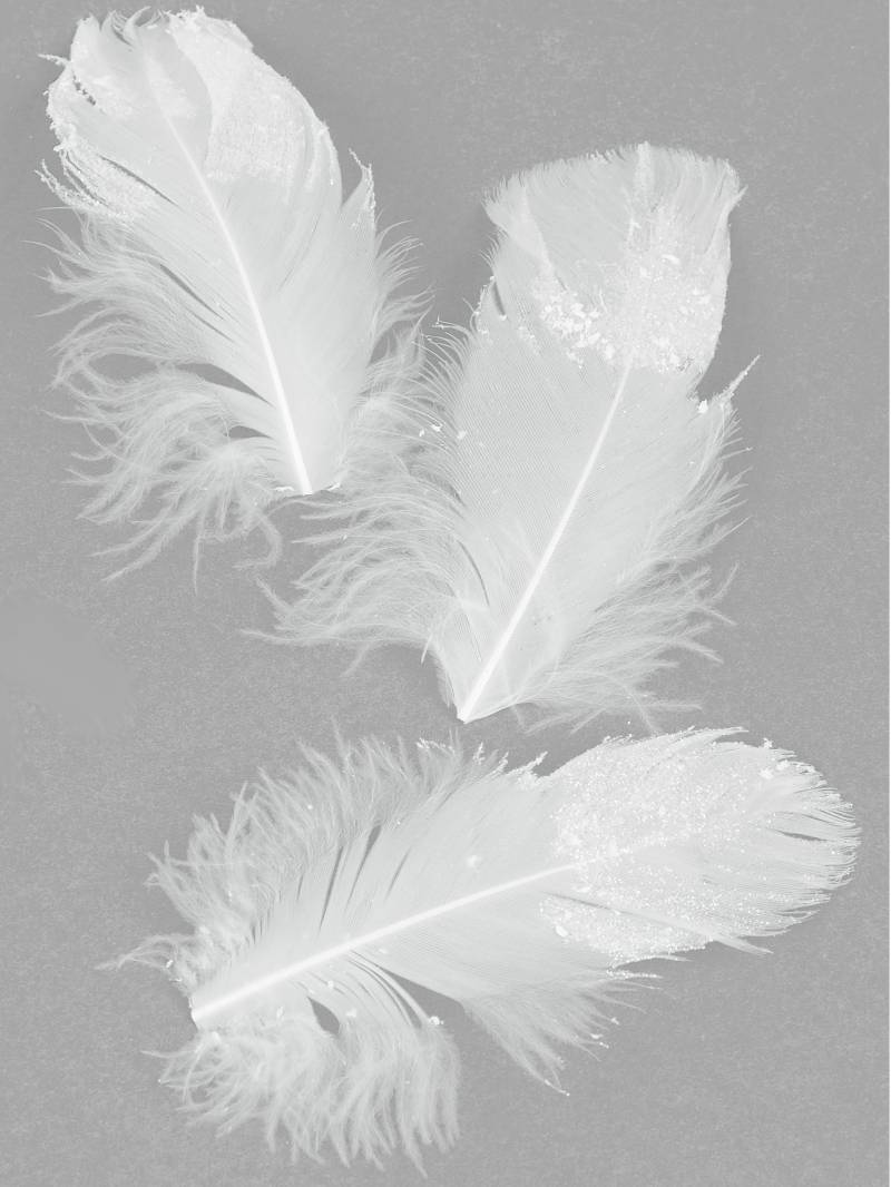 20 Federn Weiß Glitzer 9 cm von HOBI