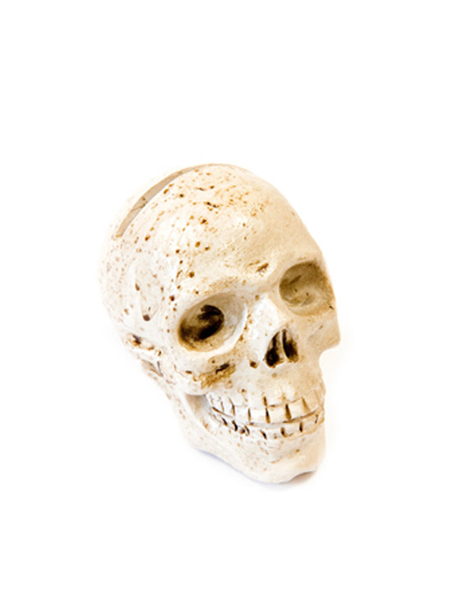 Totenschädel Halloween-Deko 4,5 x 5,5cm von HOBI