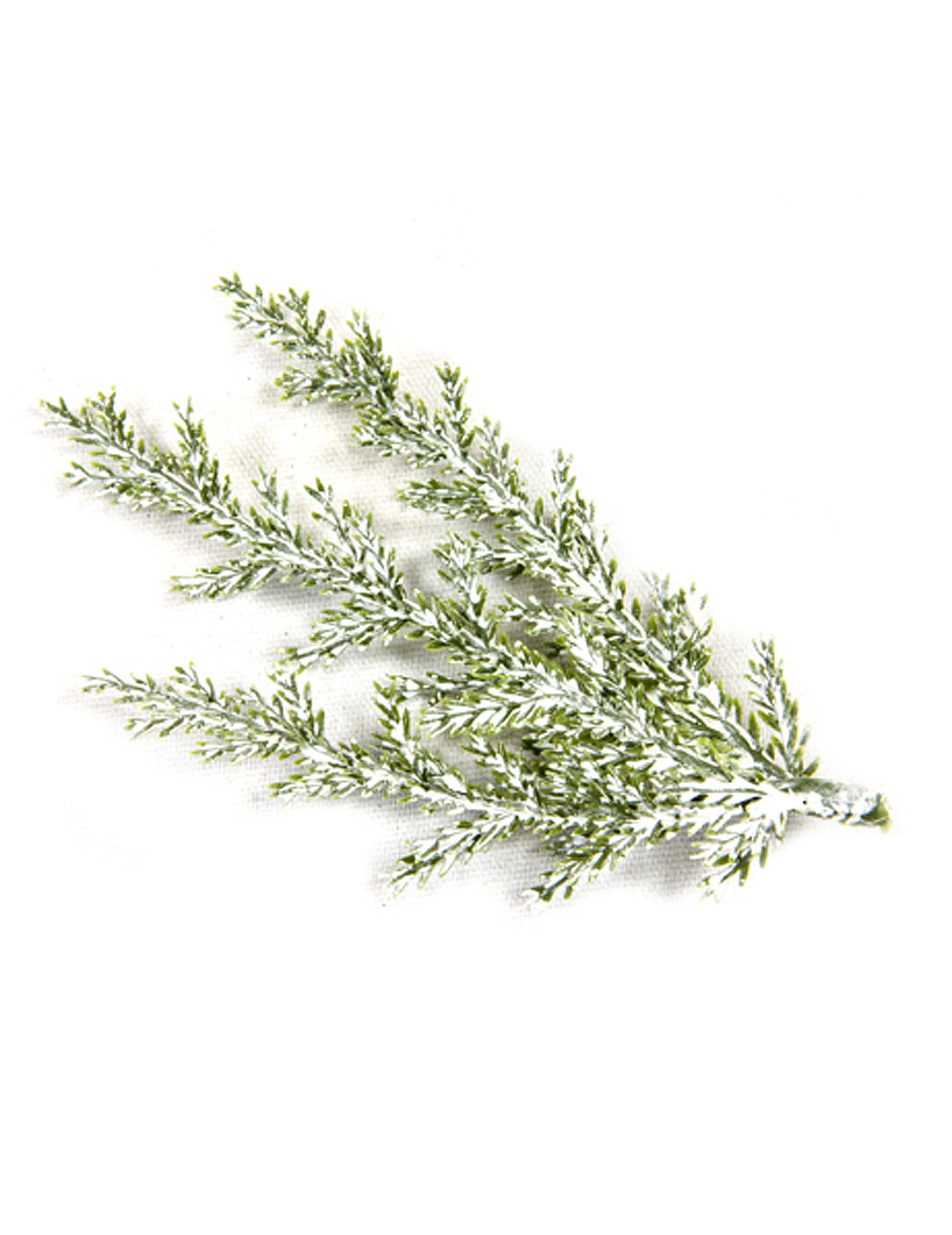 Verschneite Zypressen-Zweige Weihnachts-Dekoration 3 Stück grün-weiss 10 cm Verschneite Zypressen-Zweige Weihnachts-Dekoration 3 Stück grün-weiss 10 cm von HOBI