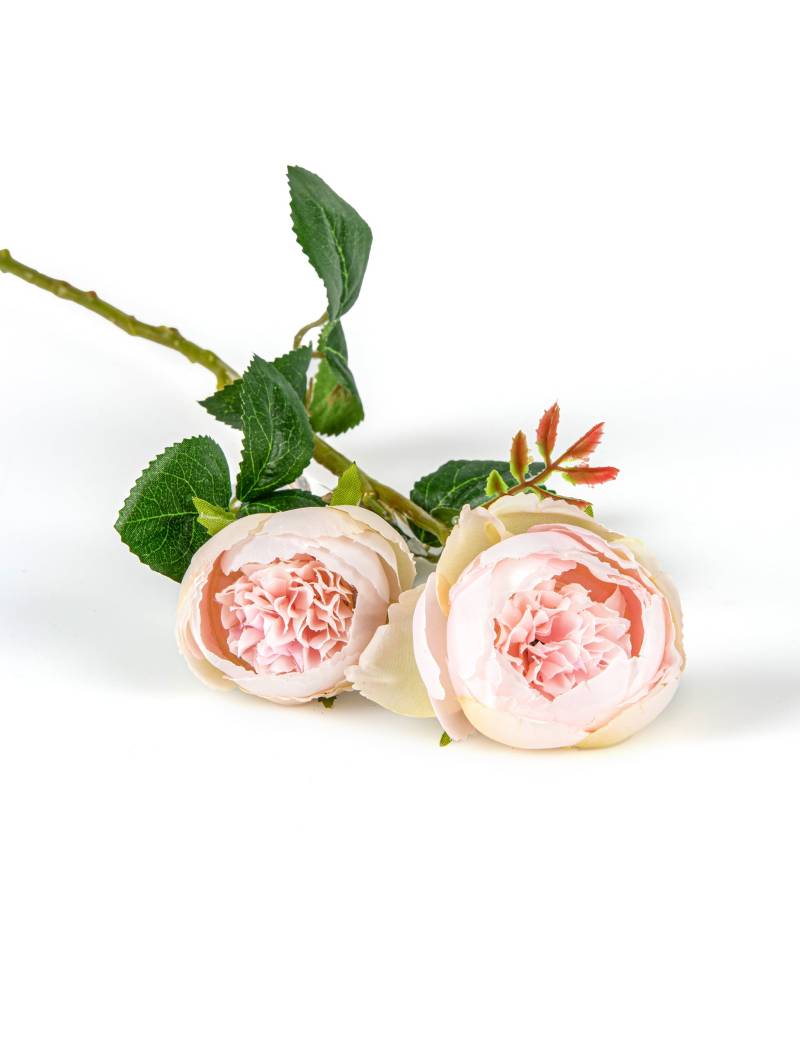 2 Künstliche Rosen in Pastellrosa auf Stiel 46 cm 2 Künstliche Rosen in Pastellrosa auf Stiel 46 cm von HOGEWONING BV