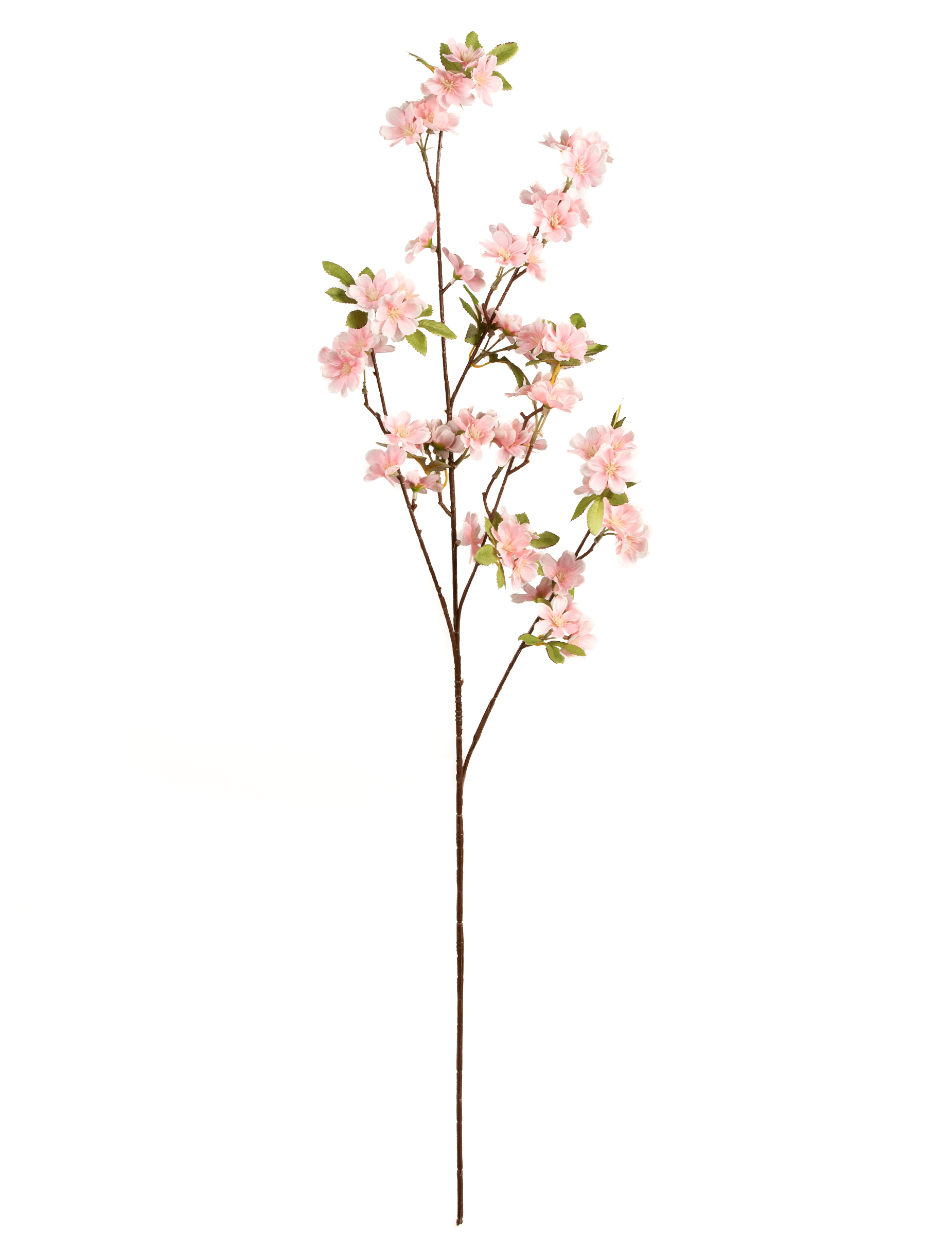 Künstliche Kirschblüten Zweig Rosa 96 cm Künstliche Kirschblüten Zweig Rosa 96 cm von HOGEWONING BV