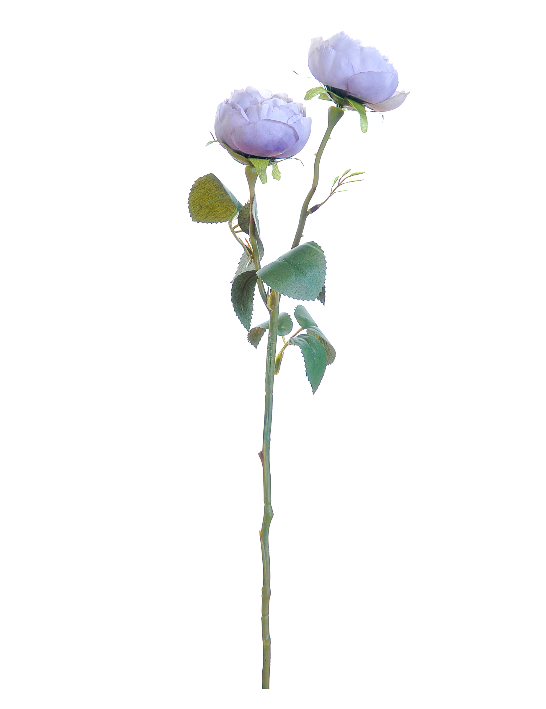 Lilafarbene Kunstrosen am Stiel 46 cm, 2er-Blumenstrauß Lilafarbene Kunstrosen am Stiel 46 cm, 2er-Blumenstrauß von HOGEWONING BV