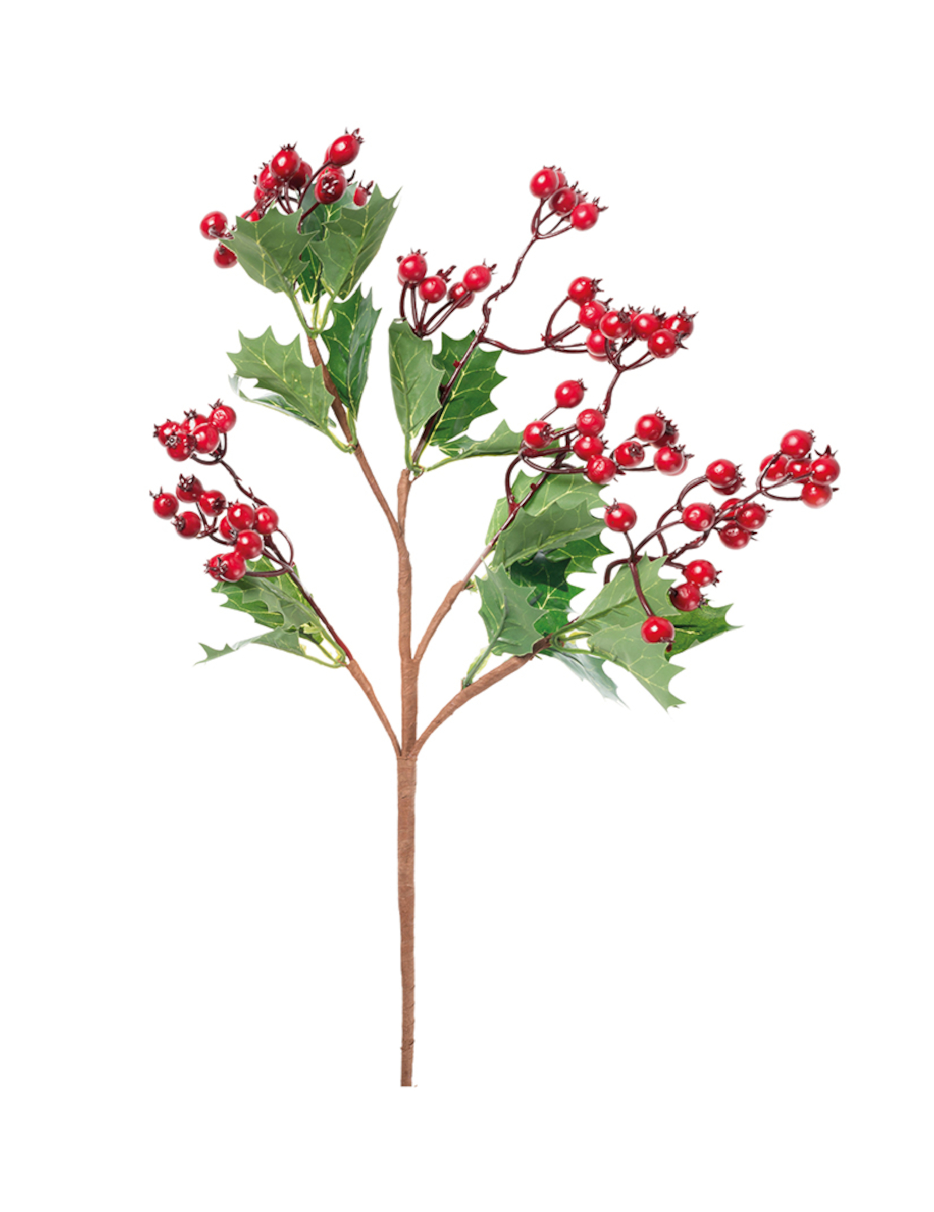Stechpalmenzweig mit roten Beeren 48 cm Weihnachtsdeko Stechpalmenzweig mit roten Beeren 48 cm Weihnachtsdeko von HOGEWONING BV