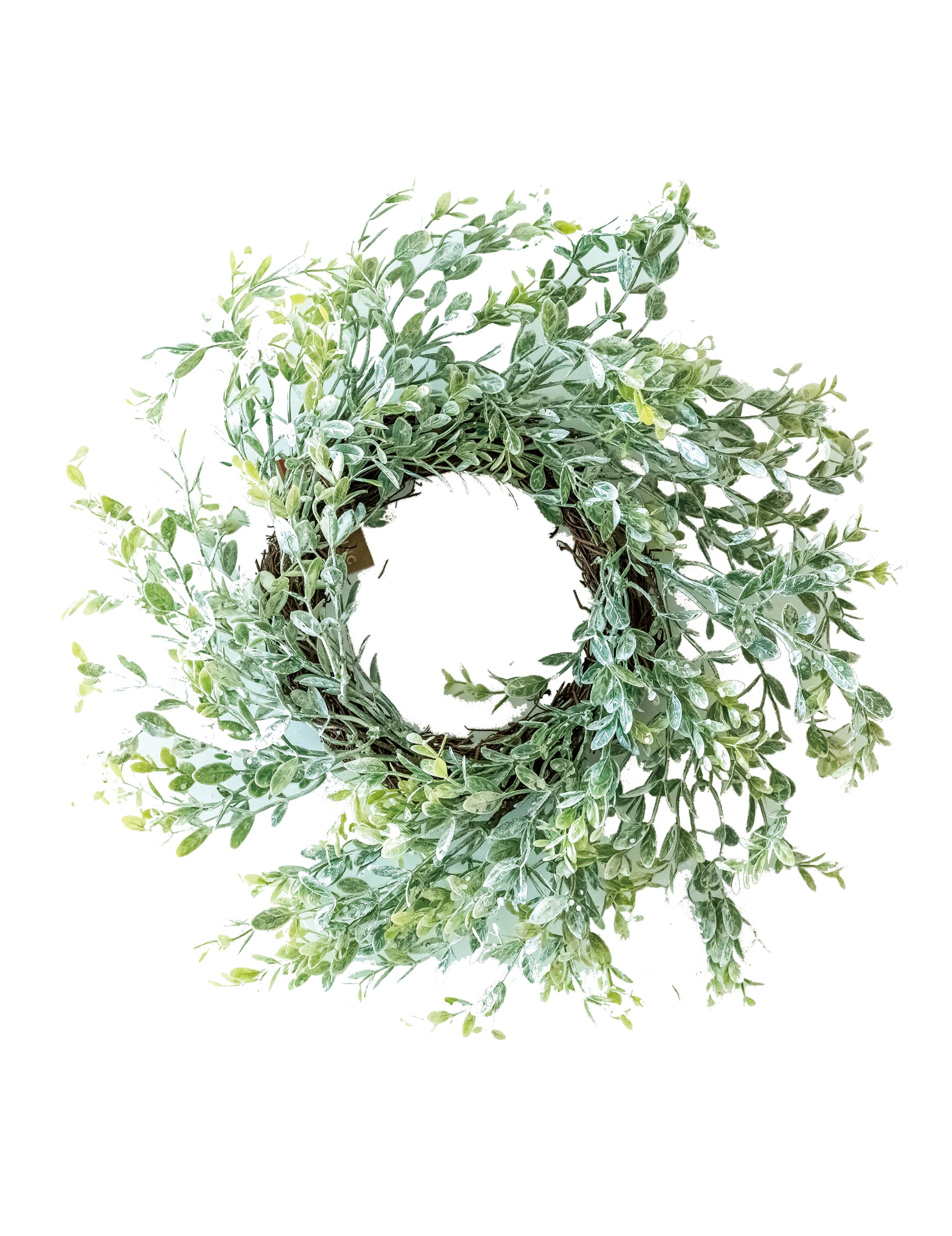 Vielblättriger Weihnachtskranz Eukalyptus grün 40 cm Vielblättriger Weihnachtskranz Eukalyptus grün 40 cm von HOGEWONING BV