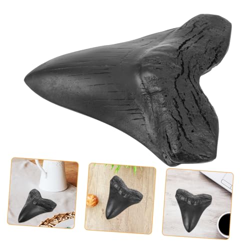 HOLIDYOYO Megalodon-Zahnfossil versteinert Kiefer Delle Hai wohnungsdeko unikal wischtelgeschenk Tiere Figuren Dekoration Nachbaumodell Ornament Schüler unterrichten Harz Black von HOLIDYOYO