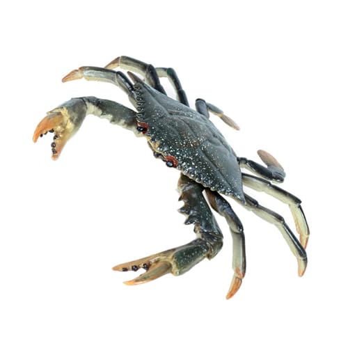 HOLIDYOYO Realistisches Krabbenmodell Tier Figur Aquarium Dekoration Simulation Landschaftsdekor Leicht Tragbar Langlebig Farblich Zufällig Zufällige Farbe von HOLIDYOYO