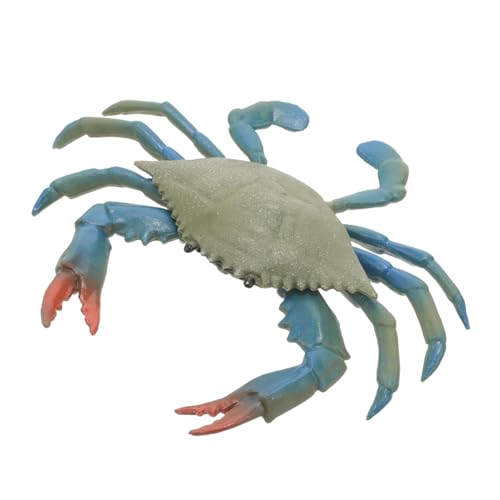 HOLIDYOYO Simulation Krabbe Spielset Modell Krabbe Krabbendekore Aus Kunststoff Krabbenspielzeug Aus Kunststoff Kreative Simulationskrabbe Spielset Realistische Krabbe PVC von HOLIDYOYO