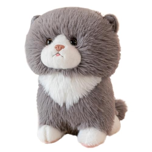 HOMEXYLYL Katzen-Plüschtiere, Kätzchen, Kuscheltier, Kawaii-Kätzchen, weiche Weihnachts- und Geburtstagsgeschenke for Kinder(Gray) von HOMEXYLYL