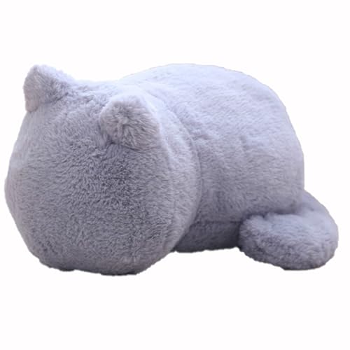 HOMEXYLYL Kissen Kuscheltier Katze, Kätzchen Plüschtier Erwachsener Kind Neujahr Muttertag Weihnachten Geschenk(Blue) von HOMEXYLYL