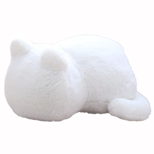 HOMEXYLYL Kissen Kuscheltier Katze, Kätzchen Plüschtier Erwachsener Kind Neujahr Muttertag Weihnachten Geschenk(White) von HOMEXYLYL