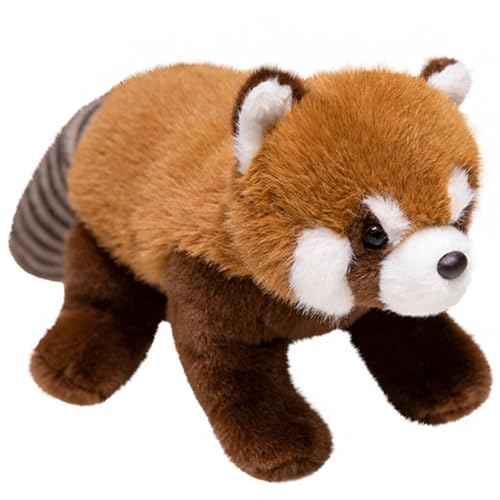HOMEXYLYL Waschbär-Plüschtier, Waschbär-Stofftier, süß, Kawaii, weich, for Umarmen, Geburtstags- und Weihnachtsspielzeug, Geschenke for Erwachsene und Kinder HOMEXYLYL Waschbär-Plüschtier, Waschbär-Stofftier, süß, Kawaii, weich, for Umarmen, Geburtstags- und Weihnachtsspielzeug, Geschenke for Erwachsene und Kinder von HOMEXYLYL