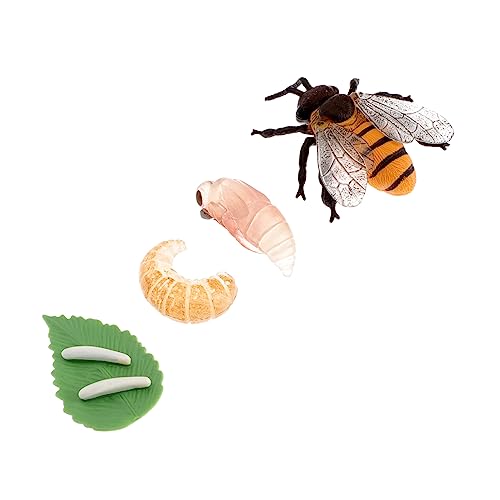 HOMOBABE 1 Satz Miniatur Insekten Wachstumszyklus Modellspielzeug für Teiliges mit Biene und Kleinen Krustentieren Pädagogisches Lernspielzeug für Kreative Aktivitäten und Dekorationen von HOMOBABE