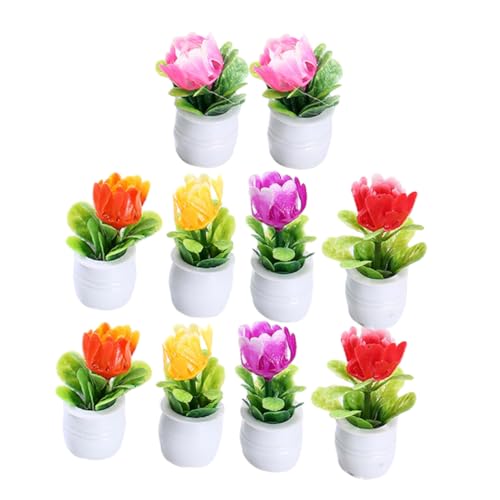 HOMOBABE 10Stücke Topfpflanzen Teiliges Puppenhaus Bonsai Farben für Mikrolandschaften und DIY Fotorequisite und Wohnaccessoire von HOMOBABE
