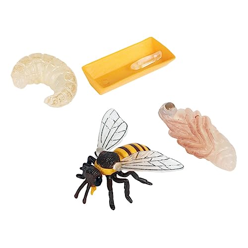 HOMOBABE 1satz Imitation Bienen Lebenszyklus Modelle Kognitive Lernspielzeuge Für Junge Mädchen Realistische Insekten Modelle Naturliebe Und des Verständnisses Für Lebenszyklen HOMOBABE 1satz Imitation Bienen Lebenszyklus Modelle Kognitive Lernspielzeuge Für Junge Mädchen Realistische Insekten Modelle Naturliebe Und des Verständnisses Für Lebenszyklen von HOMOBABE