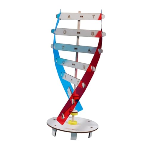 HOMOBABE 1Satz DIY DNA Modellbausatz Doppelhelix für Unterricht Interaktives Wissenschaftsspielzeug Kritischem und Verständnis Biologischer Geeignet von HOMOBABE
