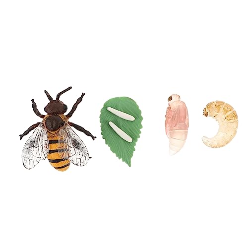 HOMOBABE 1Satz Künstliches Insektenmodell Honigbiene Bienenwachstumszyklus für Pädagogisches Lernspielzeug aus Hochwertigem für Naturwissenschaften und Kreative HOMOBABE 1Satz Künstliches Insektenmodell Honigbiene Bienenwachstumszyklus für Pädagogisches Lernspielzeug aus Hochwertigem für Naturwissenschaften und Kreative von HOMOBABE