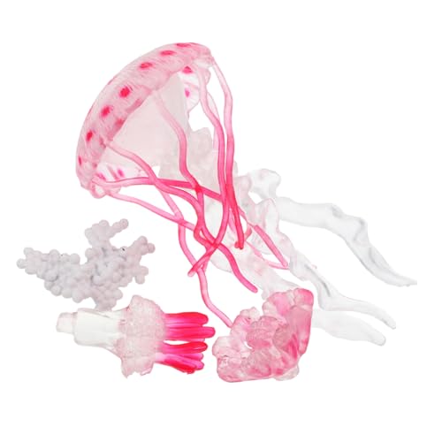 HOMOBABE 1Satz Meeresqualle für Lebenszyklus Lernspielzeug Aquarium Dekoration Kognitives für Vorschulkinder Plastik Meeresbewohner Figuren HOMOBABE 1Satz Meeresqualle für Lebenszyklus Lernspielzeug Aquarium Dekoration Kognitives für Vorschulkinder Plastik Meeresbewohner Figuren von HOMOBABE