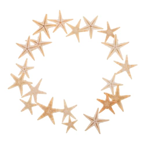 HOMOBABE 20 Stück Mini Seestern Deko für DIY Projekte Natürliche Seesterne für Aromatherapie und Strand Themen für Kerzen und Kreative Bastelideen HOMOBABE 20 Stück Mini Seestern Deko für DIY Projekte Natürliche Seesterne für Aromatherapie und Strand Themen für Kerzen und Kreative Bastelideen von HOMOBABE