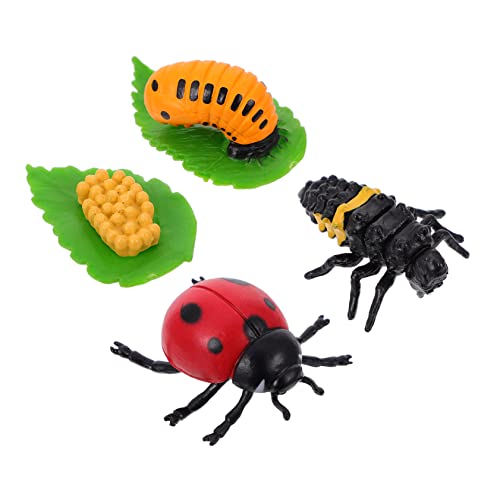 HOMOBABE 4 Stück Lebenszyklus Figurenset Teilig Realistisches Insektenwachstumsmodell für Lernspielzeug zur Naturerfahrung und Bildung für Junge Mädchen von HOMOBABE
