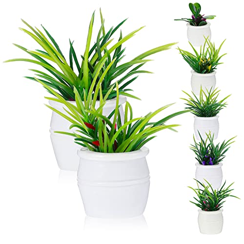HOMOBABE 7Stücke Teiliges Bonsai Pflanzen Set für Puppenhäuser Künstliche Topfpflanzen Dekoration für Mini Garten Deko für Regal Fensterbank und Mehr HOMOBABE 7Stücke Teiliges Bonsai Pflanzen Set für Puppenhäuser Künstliche Topfpflanzen Dekoration für Mini Garten Deko für Regal Fensterbank und Mehr von HOMOBABE