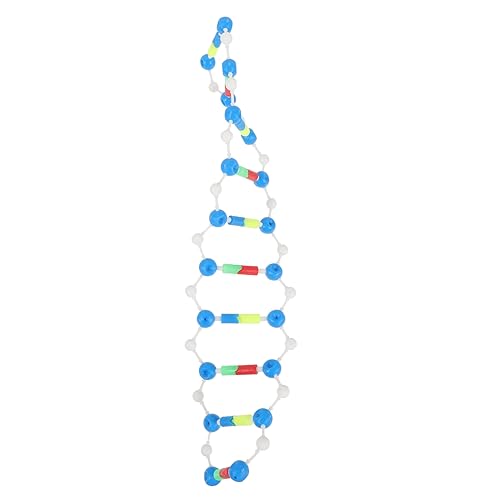 HOMOBABE Doppelhelixmodell DNA Wissenschaftsunterrichtsmodell zur Kreativen Assemblierung Interaktives Lernspielzeug für Fördert Beobachtungsfähigkeit und Analytisches HOMOBABE Doppelhelixmodell DNA Wissenschaftsunterrichtsmodell zur Kreativen Assemblierung Interaktives Lernspielzeug für Fördert Beobachtungsfähigkeit und Analytisches von HOMOBABE