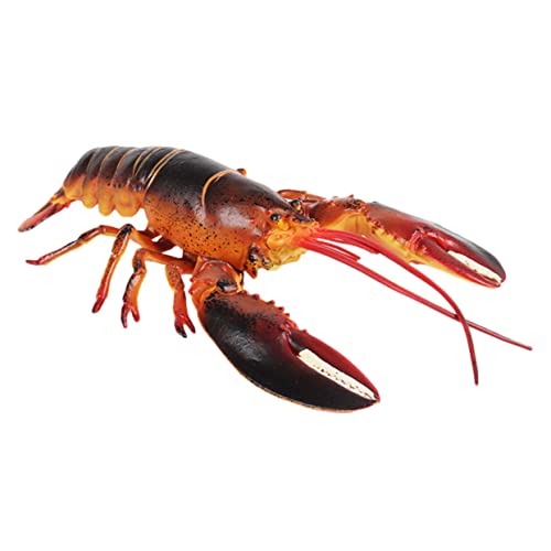 HOMOBABE Hummererkennungsmodell hühner Educational Toys Pädagogisches Tiermodell Hummer-Modell realistischer Hummer Tiere Tierfiguren Hummer-Simulationsfiguren Plastik HOMOBABE Hummererkennungsmodell hühner Educational Toys Pädagogisches Tiermodell Hummer-Modell realistischer Hummer Tiere Tierfiguren Hummer-Simulationsfiguren Plastik von HOMOBABE