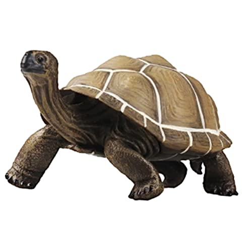 HOMOBABE Künstliche Schildkröte Figur Realistische Plastikschildkröte Dekoration für Kinderzimmer und Garten Fördert Tiererkennung und Kreatives für Lernaktivitäten HOMOBABE Künstliche Schildkröte Figur Realistische Plastikschildkröte Dekoration für Kinderzimmer und Garten Fördert Tiererkennung und Kreatives für Lernaktivitäten von HOMOBABE