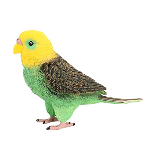 HOMOBABE Künstliches Budgerigar Modell Papagei Dekoration für Robust und Bruchfest für Zuhause und Garten Fördert Kreativität und Fantasie HOMOBABE Künstliches Budgerigar Modell Papagei Dekoration für Robust und Bruchfest für Zuhause und Garten Fördert Kreativität und Fantasie von HOMOBABE