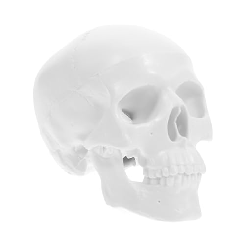 HOMOBABE Mini Schädelmodell für Abnehmbares Deko Modell für Medizinische Lehre und Halloween Dekoration Realistische und Detaillierte HOMOBABE Mini Schädelmodell für Abnehmbares Deko Modell für Medizinische Lehre und Halloween Dekoration Realistische und Detaillierte von HOMOBABE