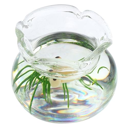HOMOBABE Mini-simulationsmodell Miniatur Schüssel Fischtankdekor Klein Panzer Dekorationen Für Aquarien Mini-goldfischbecken Mini-hausversorgung Aquarium-fälschung Mini-Aquarium Harz Gelb HOMOBABE Mini-simulationsmodell Miniatur Schüssel Fischtankdekor Klein Panzer Dekorationen Für Aquarien Mini-goldfischbecken Mini-hausversorgung Aquarium-fälschung Mini-Aquarium Harz Gelb von HOMOBABE