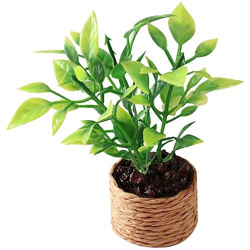 HOMOBABE Miniatur Potted Plant Künstlicher Bonsai im Blumentopf für Puppenhäuser Dekoration für Kinderzimmer Sicheres Kunststoffmaterial für Mikro Landschaften HOMOBABE Miniatur Potted Plant Künstlicher Bonsai im Blumentopf für Puppenhäuser Dekoration für Kinderzimmer Sicheres Kunststoffmaterial für Mikro Landschaften von HOMOBABE