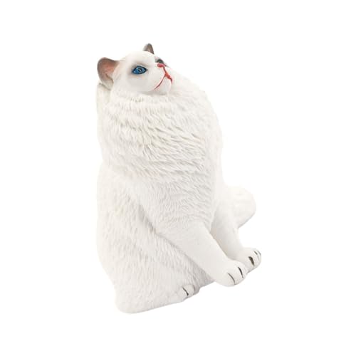 HOMOBABE Simulation Cat Model Realistische Katzenfigur aus Kunststoff für Desktop Dekoration Vielseitiges und Lehrmittel für von HOMOBABE