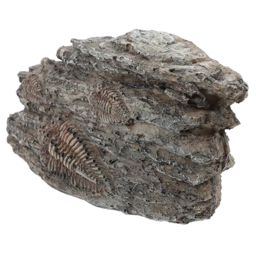 HOMOCONO Sammlerstück Trilobit-ornament Kunstharz Paläontologisches Exemplar für Landschafts- und Dekorationszwecke HOMOCONO Sammlerstück Trilobit-ornament Kunstharz Paläontologisches Exemplar für Landschafts- und Dekorationszwecke von HOMOCONO