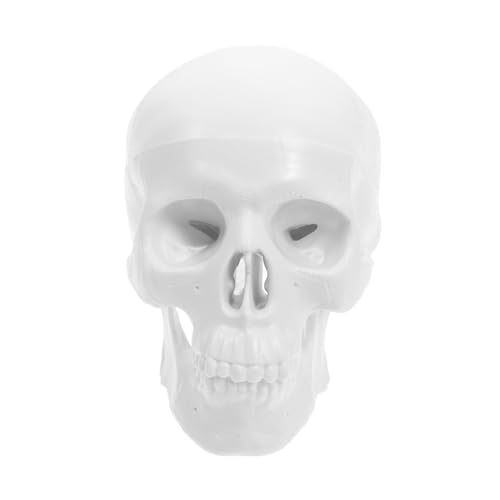 HOMOCONO Mini Anatomisches Schädelmodell Abnehmbarer Schädel mit Beweglichem für Medizinische Lehre und Halloween Dekoration Detaillierte für Studienräume und von HOMOCONO