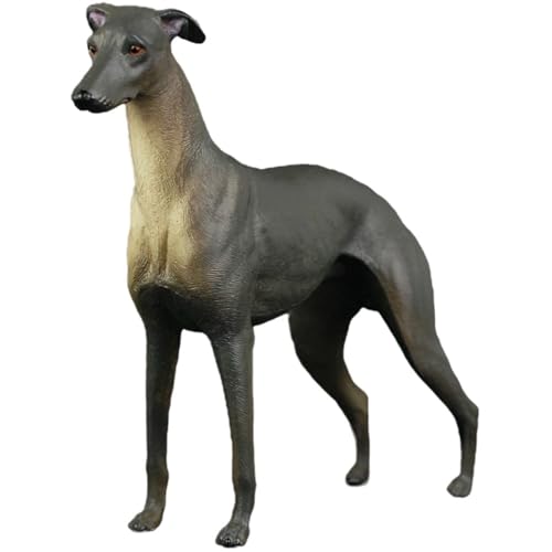 HOMOCONO Plastikhundstatue Simuliertes Hundemodell Dekoratives Tierdesign für Desktop Kinderspielzeug Naturwissenschaftlichen Bildung Passend für Zuhause von HOMOCONO