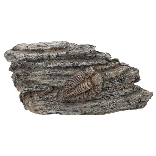 HOMOCONO Trilobiten Dekoration, Trilobiten Exemplar Dekoration, Paläontologie Trilobiten Für Ornamente, Paläontologisches Trilobiten Harz, Trilobiten Dekoration, Trilobiten Exemplar HOMOCONO Trilobiten Dekoration, Trilobiten Exemplar Dekoration, Paläontologie Trilobiten Für Ornamente, Paläontologisches Trilobiten Harz, Trilobiten Dekoration, Trilobiten Exemplar von HOMOCONO