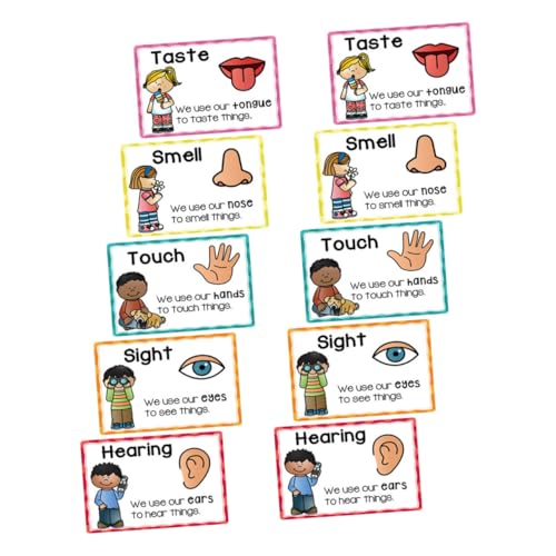 HOMSFOU 2 Sätze Lernkarten für Vorschulkinder Stimulation Flashcards mit Bunten Kontrastreichen Designs Wahrnehmung Sprachentwicklung und Kognitiven Fähigkeiten Spielerisches HOMSFOU 2 Sätze Lernkarten für Vorschulkinder Stimulation Flashcards mit Bunten Kontrastreichen Designs Wahrnehmung Sprachentwicklung und Kognitiven Fähigkeiten Spielerisches von HOMSFOU