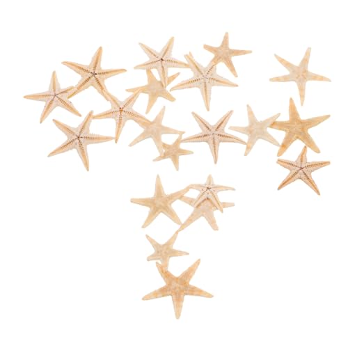 HOMSFOU 20 Stück Kerzen tropfende Dekoration Strandhochzeitsdekor Mini natürlicher Seestern Meeresstern Kerzendekoration selber Machen Strand Seestern Natürliche Zutaten HOMSFOU 20 Stück Kerzen tropfende Dekoration Strandhochzeitsdekor Mini natürlicher Seestern Meeresstern Kerzendekoration selber Machen Strand Seestern Natürliche Zutaten von HOMSFOU