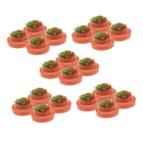 HOMSFOU 20 Stück Mini Gartenbeet Deko für Puppenhaus Mikrolandschaft Mini Pflanzgefäße für Sandtisch Modellbau Kreative Bastelmaterialien von HOMSFOU