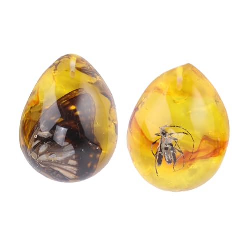 HOMSFOU 2St Wissenschaftsfossilien. Exemplar- Schmuck. Bugs in Bernstein. Bernstein Fossiler Schmuck. Halsketten Bernstein-Anhänger bernsteinfarbenes Insekt Fluoreszenz Probe Kleidung von HOMSFOU