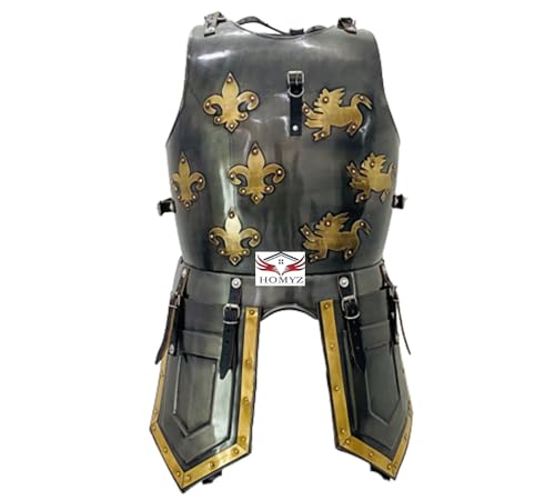HOMYZ Mittelalterliche Rüstung Tempelritter Brustpanzer Jacke Reenactment Schwarz Antik Stahl Rüstung Brustpanzer Brustpanzer Handgefertigt Rüstung Kürass HOMYZ Mittelalterliche Rüstung Tempelritter Brustpanzer Jacke Reenactment Schwarz Antik Stahl Rüstung Brustpanzer Brustpanzer Handgefertigt Rüstung Kürass von HOMYZ