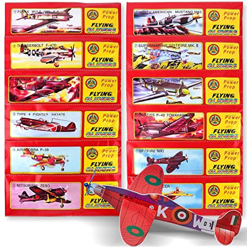 HONGECB Gleitflugzeuge für Kinder - 24 Stück Styroporflieger Styropor| Flieger Verschiedene Motive Flieger Flugzeug | Styropor Segelflugzeuge | Gleiter Flieger Wurfgleiter HONGECB Gleitflugzeuge für Kinder - 24 Stück Styroporflieger Styropor| Flieger Verschiedene Motive Flieger Flugzeug | Styropor Segelflugzeuge | Gleiter Flieger Wurfgleiter von HONGECB