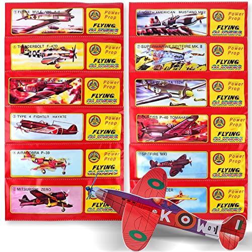 HONGECB Gleitflugzeuge Set, Styropor Flieger Kinder, Einzeln Verpackten Styropor Segelflugzeuge, 12 Verschiedene Styroporflieger, Flugzeug Styropor, 24 Stück von HONGECB